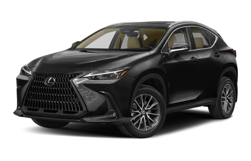 Silver Lexus SUV inside a contemporary glass-roof pavilion